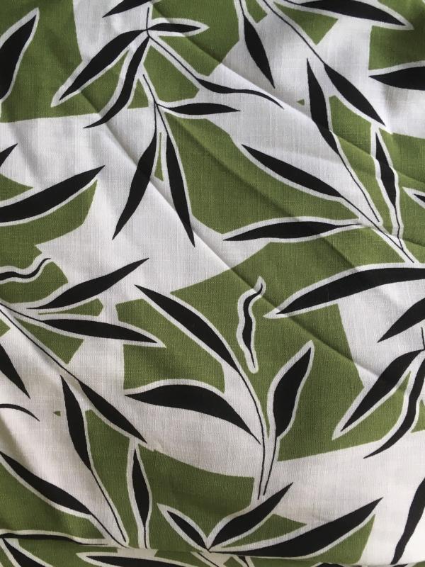 Feuilles de bambou vert