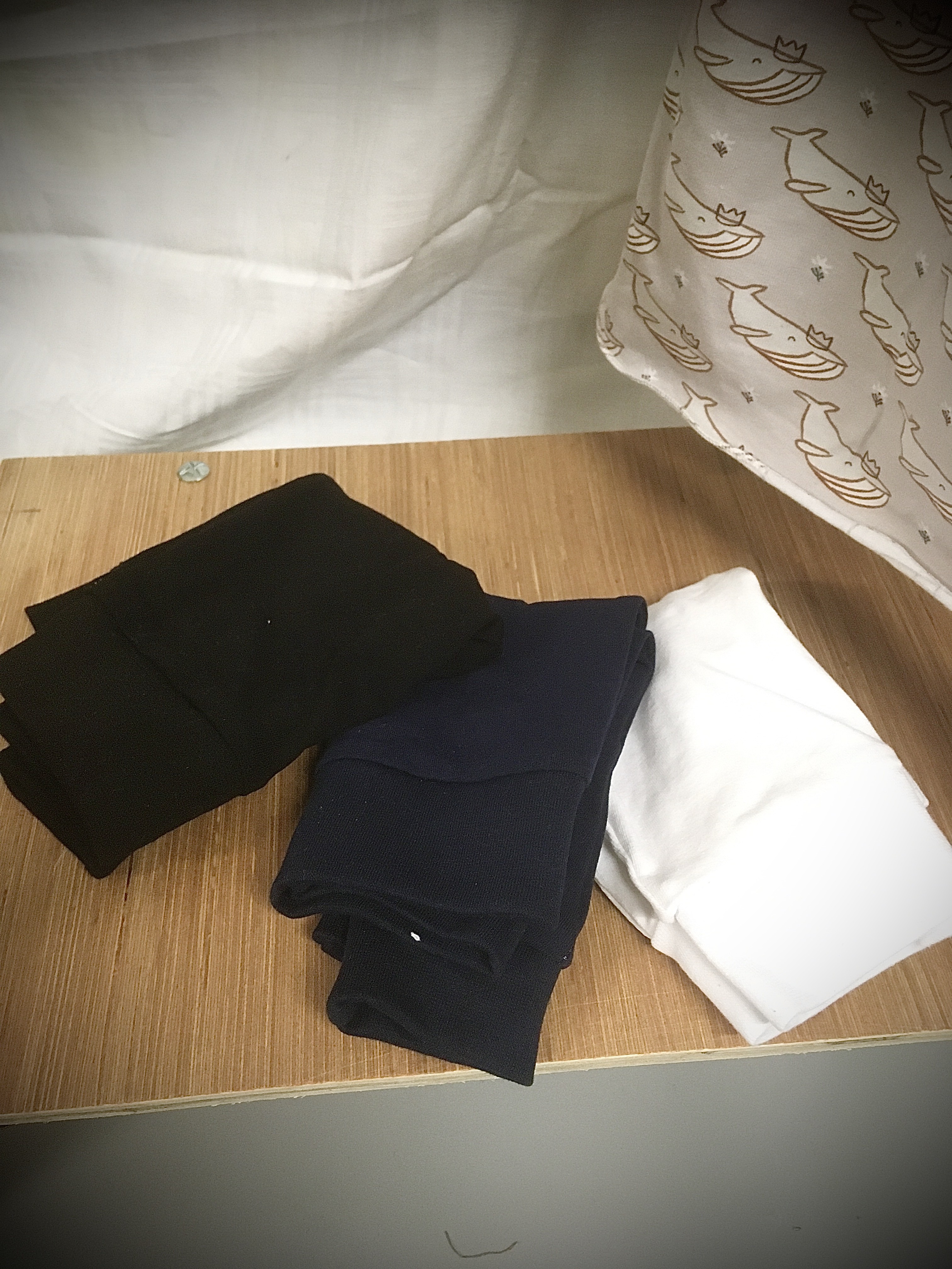 Img 1861
